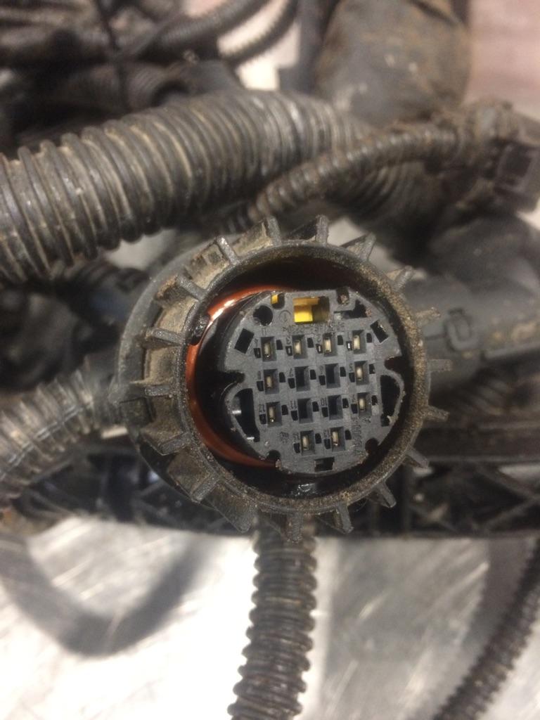 2020 Detroit DD15 Engine Wiring Harness Payless Truck Parts